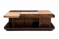 Arena Luxurious Coffee Table 